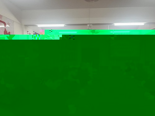 圖為調研會現場.jpg